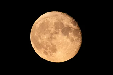 Cercles muraux Pleine lune full moon in the night