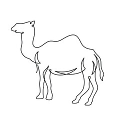 Vector continuous one line camel illustration