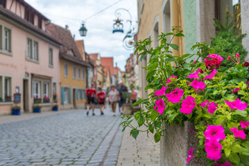Fototapeta na wymiar Pink flowers and green leaves in the historical centre of Rothenburg, Bavaria, Germany, one of the medieval villages of the famous Romantic Road. Tourists on the blurred background.