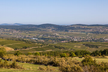 Fototapeta na wymiar Paysage du mâconnais et de ses vignobles depuis le sommet de la Roche du Solutré, en Bourgogne