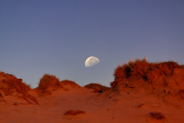 In the evening's twilight, the moon rises above the beach's Mars-like hues, painting a tranquil coastal panorama