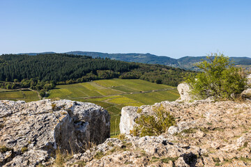 Paysage des vignobles de la célèbre appellation Pouilly-Fuissé, depuis le sommet de la Roche de Vergisson