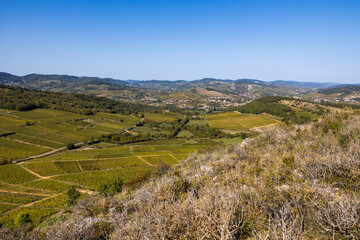 Village de La Roche-Vineuse, entouré par le vignoble de la célèbre appellation Pouilly-Fuissé, depuis Vergisson