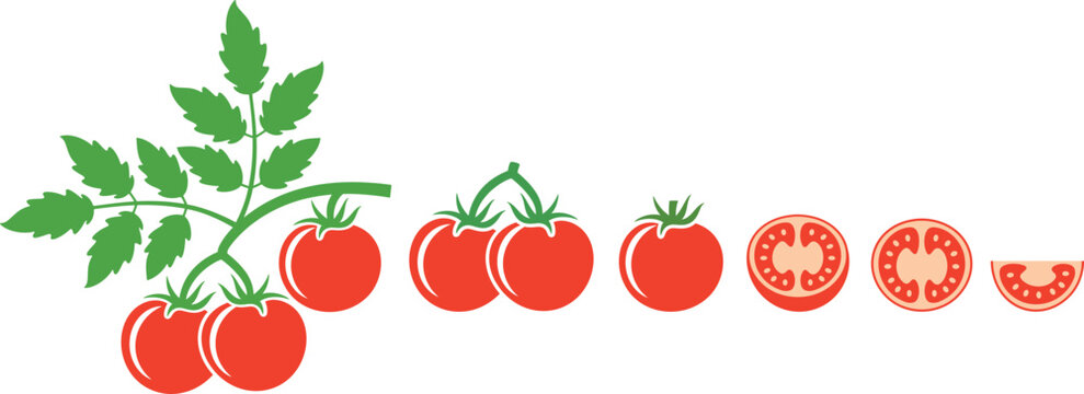 Tomato logo. Isolated tomato on white background