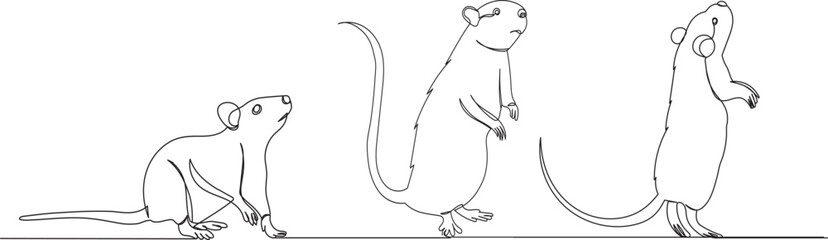 mouse line drawing, sketch vector