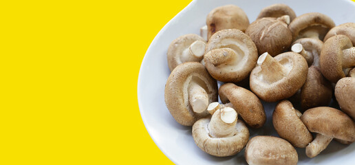 Fresh shiitake mushrooms on yellow background.