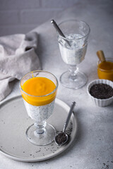 Healthy chia pudding with mango