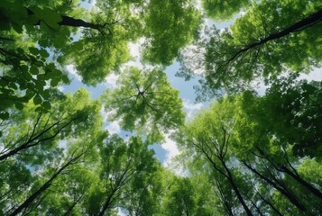 Fototapeta na wymiar Looking up at the green tops of trees. generative ai