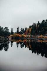 reflection de lac en automne