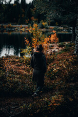 Marche en forêt l'automne