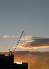 Fototapeta premium Construction crane silhouette against city skyline at sunset.Bright orange sunset over the city in the evening. Space for text, Selective focus.