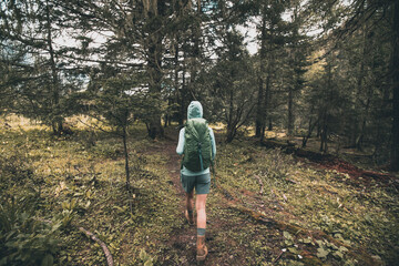 Hiking woman walking in high altitude forest