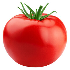 Tomato isolated on white background, full depth of field