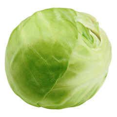 Brussel sprout isolated on white background, full depth of field