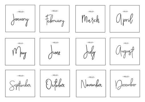 Set of months, lettering print. Vector illustration