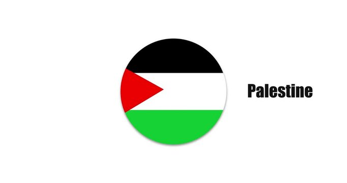 Palestine flag, country flags
