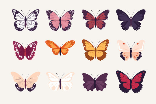 butterfly set vector flat minimalistic isolated vector style illustration