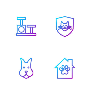 Set line Pet house, Dog, Cat scratching post with toy and Animal health insurance. Gradient color icons. Vector