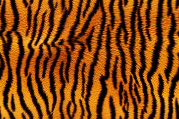Realistic Tiger Skin Texture Pattern And Background