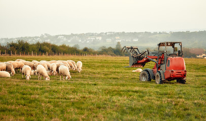 Mature couple working on the farm