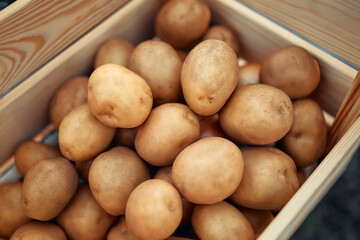 Mature couple working on the farm