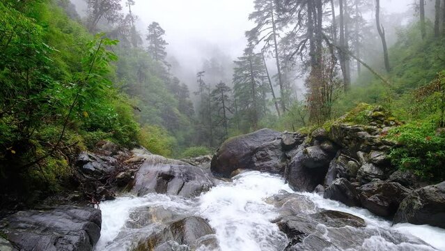 Powerful mountain creek running through the big boulders down the foggy rain forest jungles in Makalu Barun National Park near Chatra Khola settlement. Mera peak climbing route, Himalayas, Nepal.