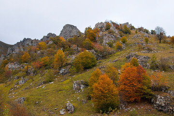 autumn in the mountains
