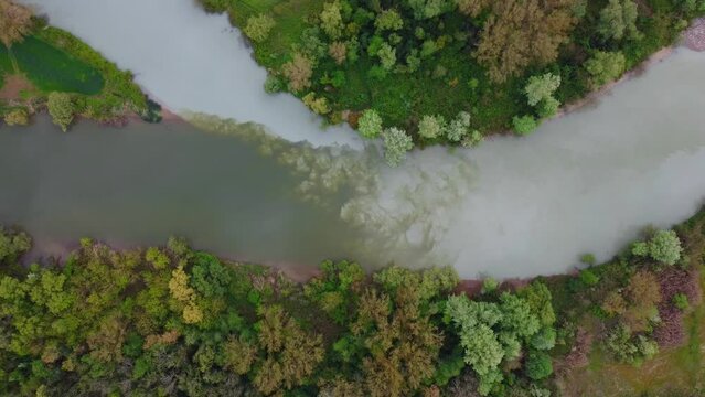 environmental pollution, river with polluted water, two rivers meet and the waters mix
