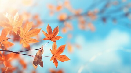 a tree branch with orange leaves against a blue sky background.  generative ai