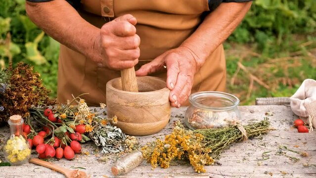 Woman and herbs and dried flowers alternative medicine and medicinal tea. Selective focus.