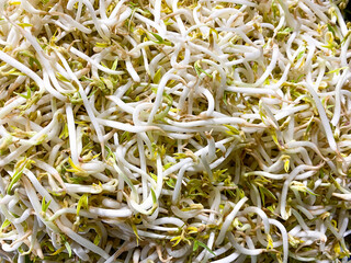 close-up of Bean sprouts background