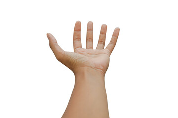 hand isolated on white background, hold, grab or catch. hand holding something empty