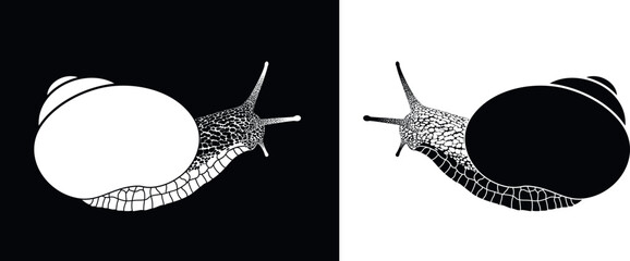 Grape snail logo. Isolated grape snail on white background © oleg7799