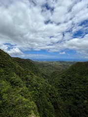 Panorama over Black River Gorge from waterfall 500 Pieds