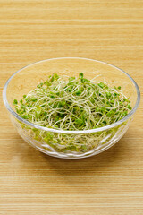 ブロッコリースプラウト