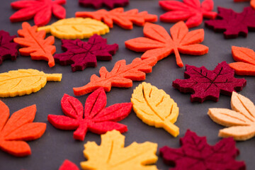 Close up of red, yellow and orange autumn leaves on black background