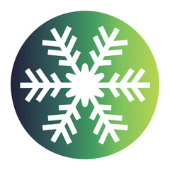 snow icon