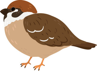 Simple and adorable flat colored Sparrow illustration