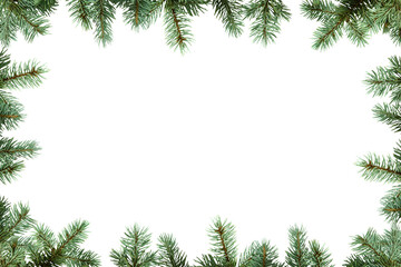 Fototapeta na wymiar Frame of Christmas tree branches in PNG isolated on transparent background, border