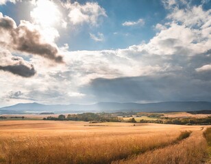 Fototapeta premium View Of Field Against Sky