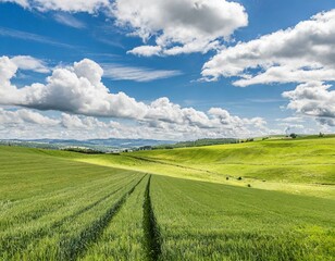 View Of Field Against Sky