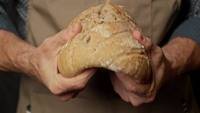 Homemade bread breaking. Baker hands breaking bread. Craft organic bread. Male baker hands breaking homemade bread. Bakery concept. Close-up in 4K, UHD