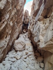 Amazing nature of Israel