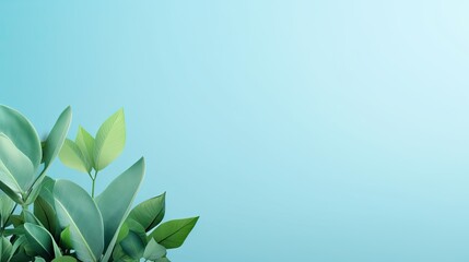 a plant with green leaves on a blue background with a place for text.  generative ai