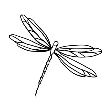 Hand drawing style of dragon fly vector. It is suitable for insect icon, sign or symbol.