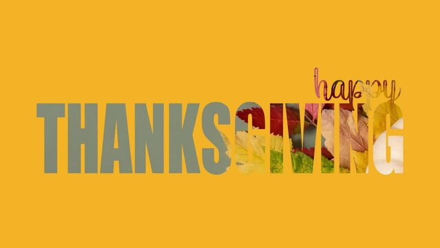 Happy Thanksgiving text with video fall leaves inside letters. Video greeting card. High quality 4k footage