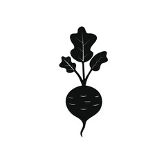 Beetroot vector design. beet sugar.