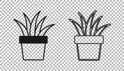 Black Plant in pot icon isolated on transparent background. Plant growing in a pot. Potted plant sign. Vector