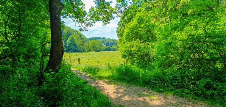 Wiesen in der Eifel zum Wandern &ndash; Naturparadies und Erholung in Deutschland