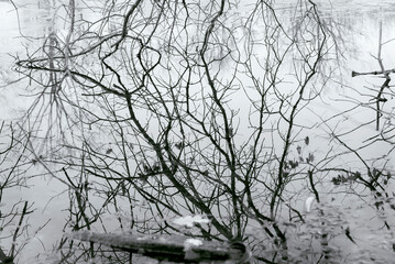 Fototapeta na wymiar abstract water and nature reflection black and white